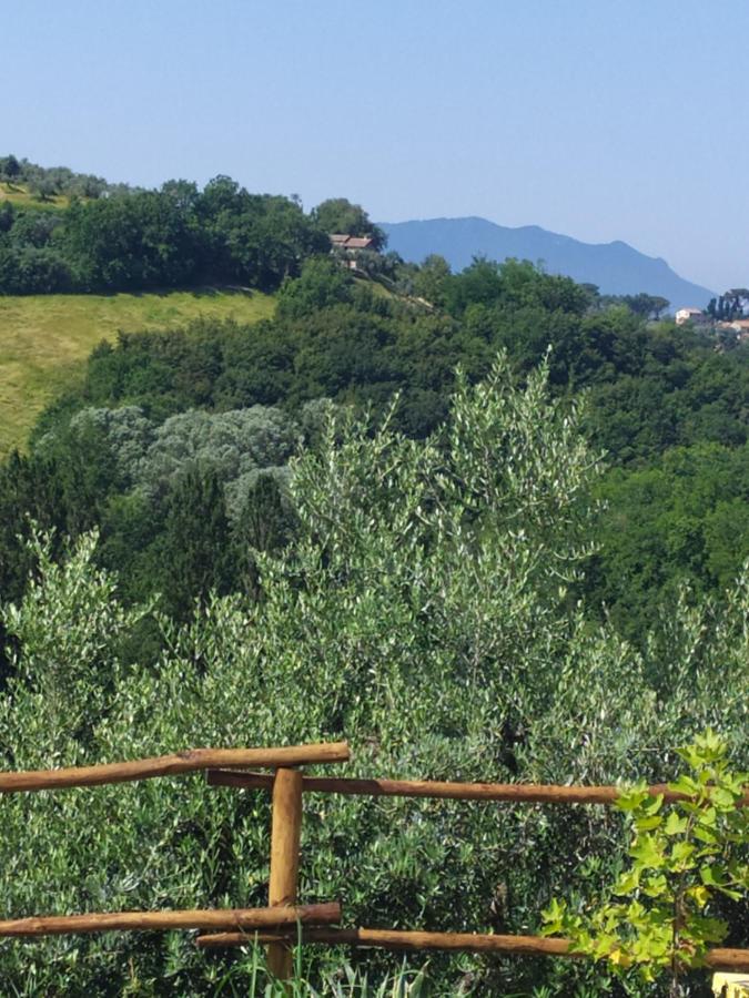 Casa Nupa Apartment Torri in Sabina Bagian luar foto